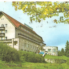 CPI (B1432) PREDEAL, HOTEL ROZMARIN, EDITURA SPORT - TURISM, PUBLITURISM, CIRCULATA 1981, STAMPILE, TIMBRU.