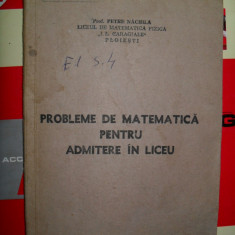 Probleme de matematica pentru admitere in liceu-Petre Nachila