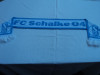 Fular FC SCHALKE 04, De club