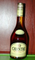 BRANDY CHANTRE foto