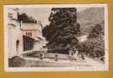 HERCULANE 1953