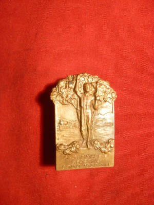 Insigna Jocuri Sportive Como Italia 1930 ,bronz ,Dim. = 1,9 x 3 cm foto