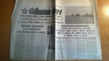 ziarul romania libera 20 iunie 1989