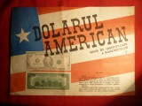 Ghid de Identificare a Dolarului American