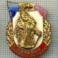 118 INSIGNA -VETERAN DIN RAZBOIUL ANTIFASCIST -starea care se vede