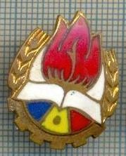 145 INSIGNA DE PIONIER -starea care se vede