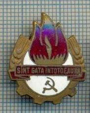 186 INSIGNA -PIONIERI - ,,SANT GATA INTOTDEAUNA&amp;quot; -starea care se vede foto