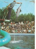 CPI (B1312) CONSTANTA, SPECTACOL LA DELFINARIU, EDITURA SPORT-TURISM, CIRCULATA , STAMPILA, TIMBRU