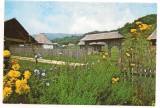 carte postala(ilustrata)-VILCEA-Bujoreni-COLECTIILE DE ETNOGRAFIE SI ARTA POPULARA
