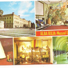 carte postala(ilustrata)-ALBA IULIA-Muzeul Unirii (interior)