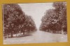 BUCURESTI SOSEAUA KISELEFF 1928, Circulata, Fotografie