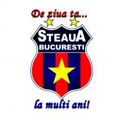ornament comestibil pentru tort cu Steaua, Dinamo, Rapid, etc (vafe tort si zahar)) foto