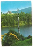 carte postala(ilustrata)-HUNEDOARA-Campul lui Neag-Cabana Valea de pesti