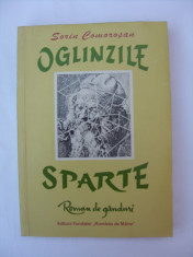 Oglinzile sparte foto