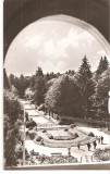 CPI (B1148) GOVORA, VEDERE DIN PARC, EDITURA MERIDIANE, CIRCULATA15.4.64, STAMPILE, TIMBRU, RPR
