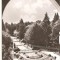 CPI (B1148) GOVORA, VEDERE DIN PARC, EDITURA MERIDIANE, CIRCULATA15.4.64, STAMPILE, TIMBRU, RPR