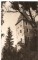 Foto  - 1