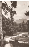 CPI (B1159) CACIULATA, VEDERE DIN PARC, EDITURA MERIDIANE, CIRCULATA 18.6.64, STAMPILE, TIMBRU, Necirculata, Fotografie