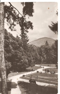 CPI (B1159) CACIULATA, VEDERE DIN PARC, EDITURA MERIDIANE, CIRCULATA 18.6.64, STAMPILE, TIMBRU foto