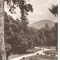 CPI (B1159) CACIULATA, VEDERE DIN PARC, EDITURA MERIDIANE, CIRCULATA 18.6.64, STAMPILE, TIMBRU