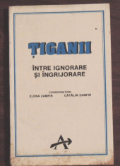 TIGANII INTRE IGNORARE SI INGRIJORARE - COLECTIV DE AUTORI foto