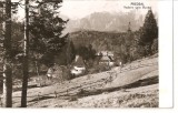 CPI (B1200) PREDEAL VEDERE DIN BUCEGI, EDITURA MERIDIANE, CIRCULATA 24.9.61, STAMPILE, RPR, Necirculata, Fotografie