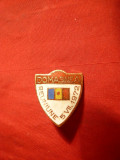 Insigna Domasnea 1972 - Romania