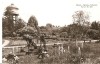 CPI (B1203) CLUJ, GRADINA BOTANICA, TURNUL DE APA, EDITURA MERIDIANE, NECIRCULATA, RPR, Fotografie