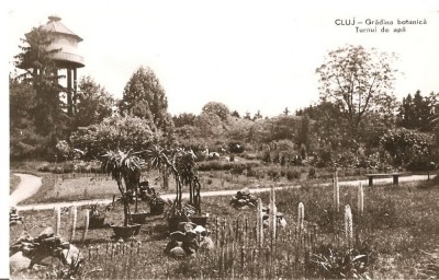 CPI (B1203) CLUJ, GRADINA BOTANICA, TURNUL DE APA, EDITURA MERIDIANE, NECIRCULATA, RPR foto