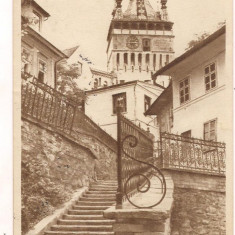 carte postala(ilustrata)-SIGHISOARA -Turnul Ceasului