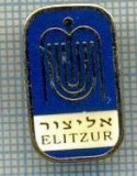 245 INSIGNA - ELITZUR -ISRAEL -starea care se vede