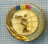 242 INSIGNA - SPORTIV INTERNATIONAL -starea care se vede