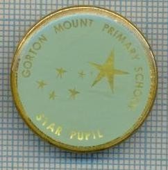 329 INSIGNA -GORTON MOUNT PRIMARY SCHOOL -STAR PUPIL -MANCHESTER -MAREA BRITANIE- starea care se vede foto