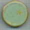 329 INSIGNA -GORTON MOUNT PRIMARY SCHOOL -STAR PUPIL -MANCHESTER -MAREA BRITANIE- starea care se vede