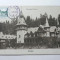 SINAIA - CASTELUL PELES - CARTE POSTALA ILUSTRATA UPU - MAXIMA