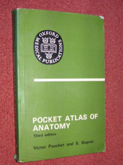 Atlas de anatomie - Pocket atlas of anatomy - Third edition - Victor Pauchet and S. Dupret foto