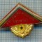 454 INSIGNA - FRUNTAS IN MUNCA PATRIOTICA -DISTINCTIE PIONIEREASCA -starea care se vede
