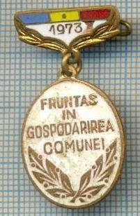 491 INSIGNA - FRUNTAS IN GOSPODARIREA COMUNEI 1973 -starea care se vede foto
