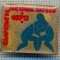 486 INSIGNA - CAMPIONATUL NATIONAL SATESC 1970 -LUPTE -starea care se vede