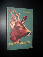 Ionel Pop , Din fauna noastra (vanatoare) foto