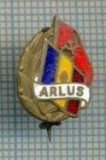 459 INSIGNA veche - ARLUS - Asociația Rom&amp;amp;acirc;nă pentru str&amp;amp;acirc;ngerea Legăturilor cu Uniunea Sovietică -starea care se vede