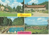 CPI (B1597) BORSEC, TOPLITA, MOZAIC, EDITURA OSETCM , CIRCULATA 24.8.76, STAMPILA, TIMBRU IMPRIMAT, Fotografie