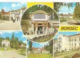 CPI (B1599) BORSEC, MOZAIC, CIRCULATA 21.8.73, STAMPILA, TIMBRU