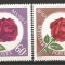 Ungaria 1959 Trandafiri - 1 Mai -ziua muncii