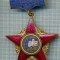 511 INSIGNA - FRUNTAS IN INTRECEREA SOCIALISTA 1967 -starea care se vede