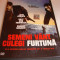 SEMENI VANT, CULEGI FURTUNA - John Cusack / Billy Bob Thornton DVD Film