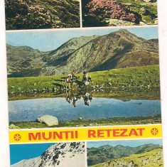 carte postala(ilustrata)-MUNTII RETEZAT-colaj