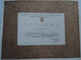 Diploma sportiva- baschet 1964