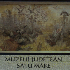 Carte postala CP SM016 Satu Mare - Muzeul Judetean - necirculata