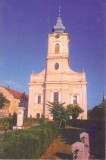 Carte postala CP SM012 Satu Mare - Biserica reformata - necirculata